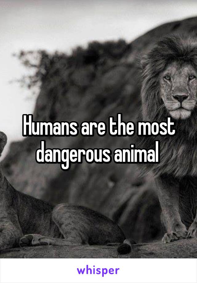 Humans are the most dangerous animal 