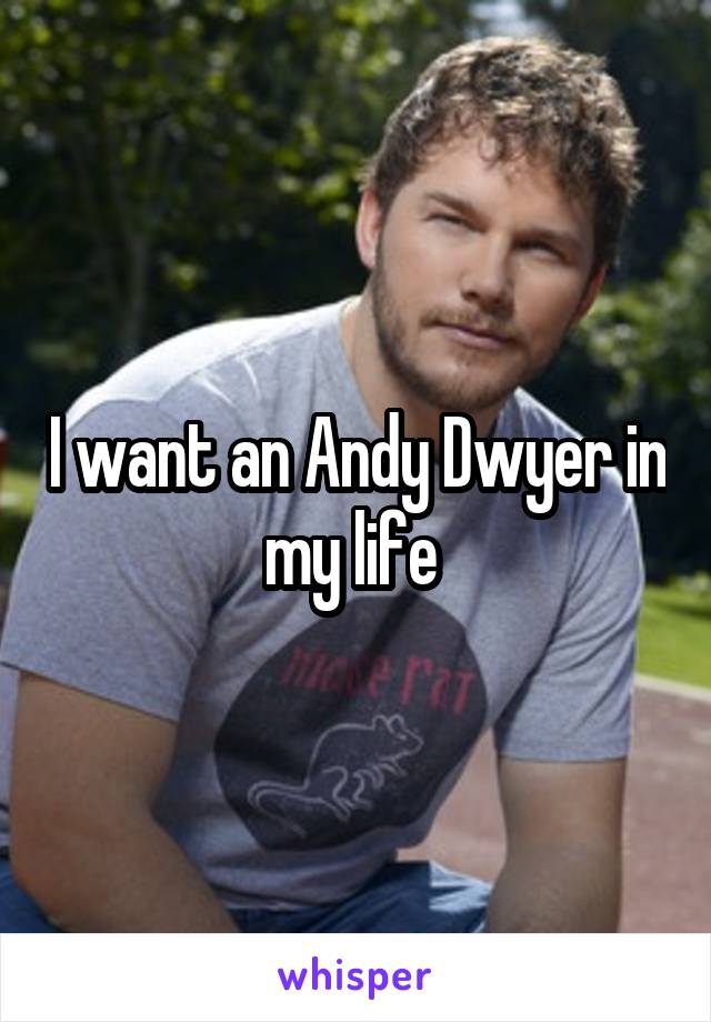 I want an Andy Dwyer in my life 
