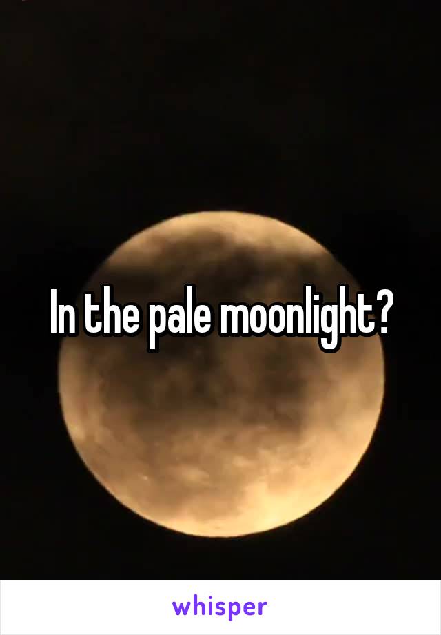 In the pale moonlight?