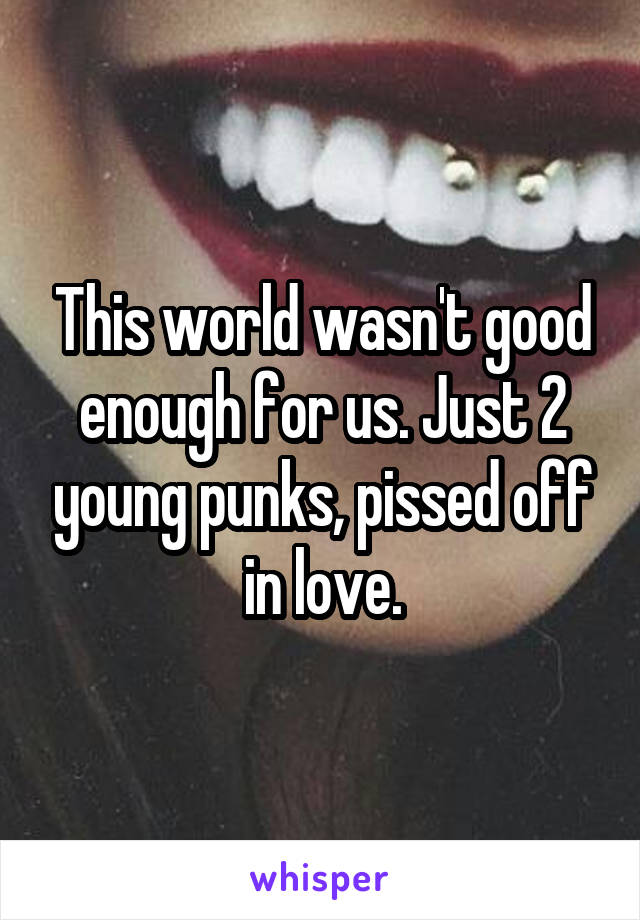 This world wasn't good enough for us. Just 2 young punks, pissed off in love.