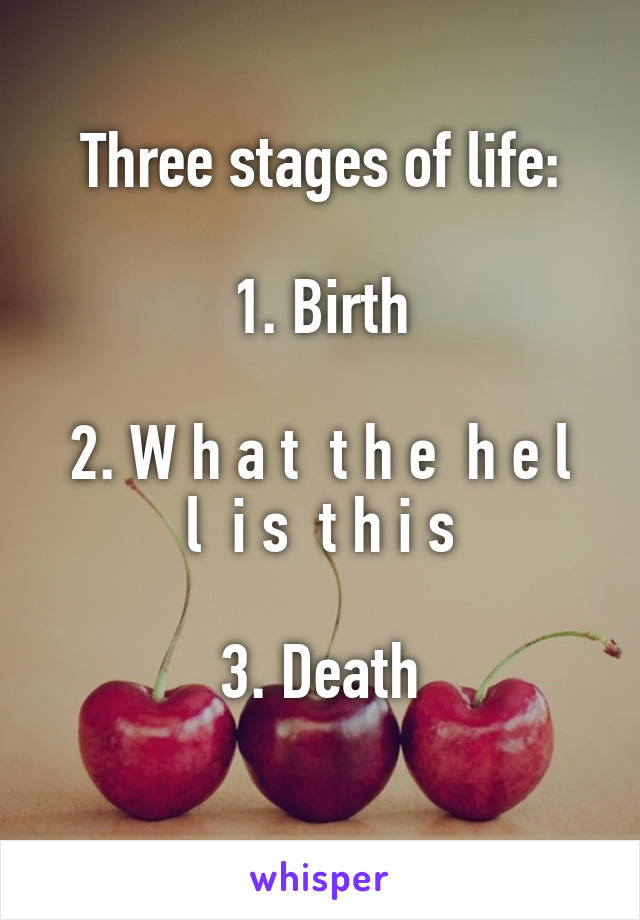 Three stages of life:

1. Birth

2. W h a t  t h e  h e l l  i s  t h i s

3. Death

