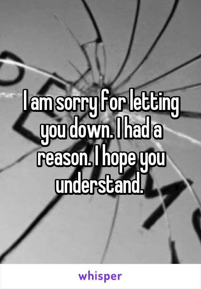 I am sorry for letting you down. I had a reason. I hope you understand. 