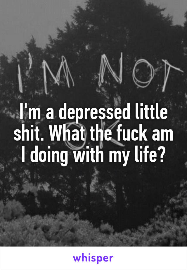I'm a depressed little shit. What the fuck am I doing with my life?