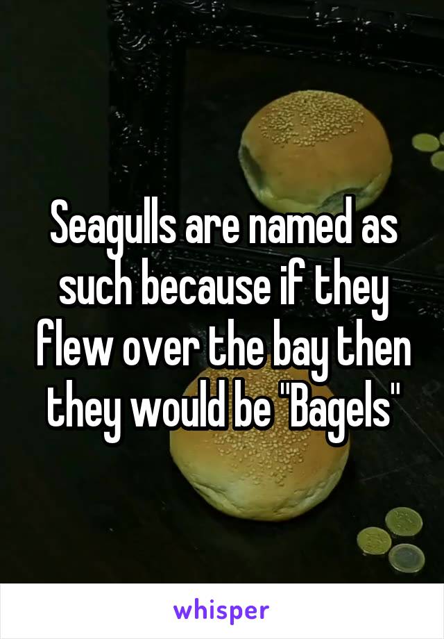 Seagulls are named as such because if they flew over the bay then they would be "Bagels"