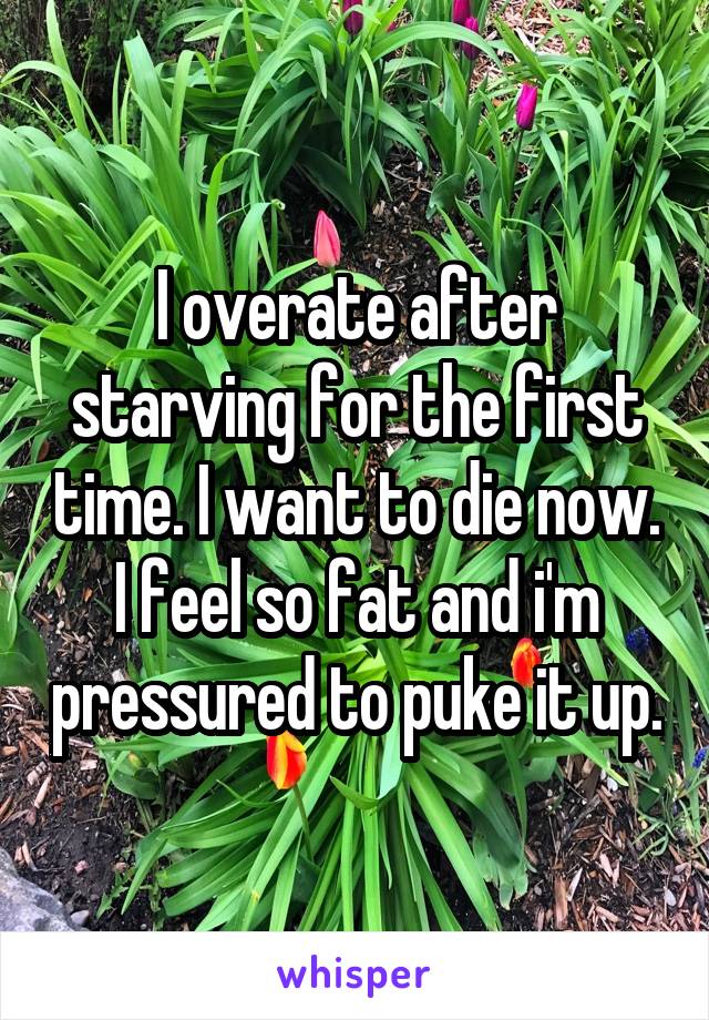 I overate after starving for the first time. I want to die now. I feel so fat and i'm pressured to puke it up.