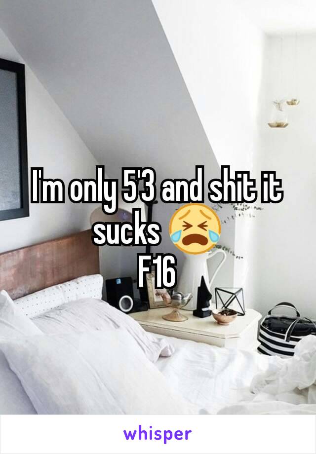 I'm only 5'3 and shit it sucks 😭
F16