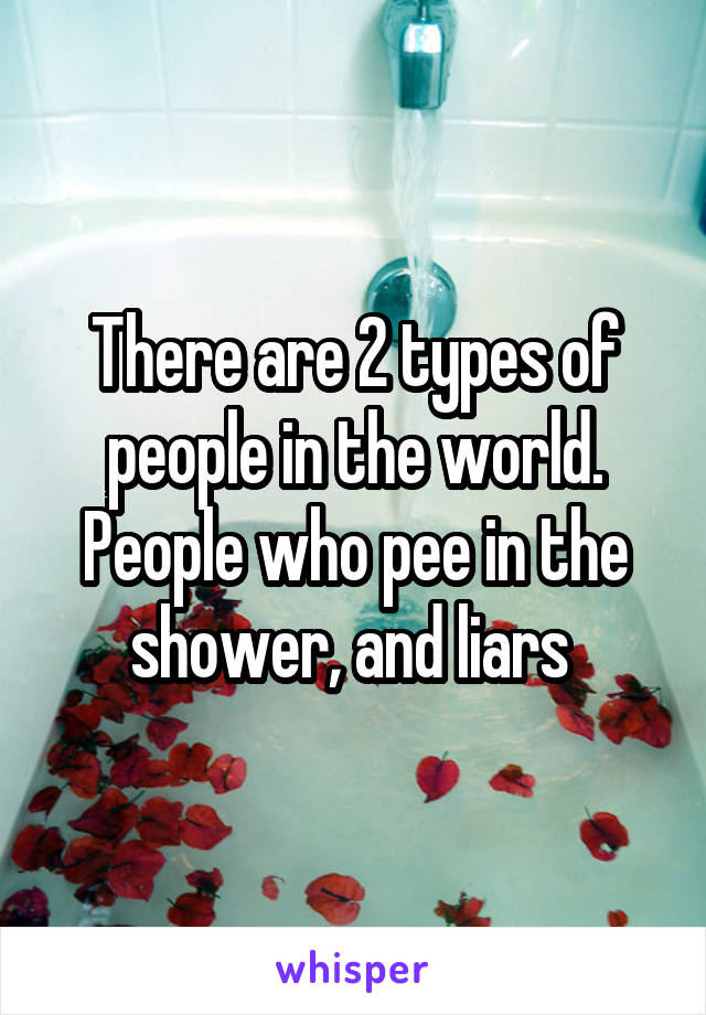 There are 2 types of people in the world. People who pee in the shower, and liars 