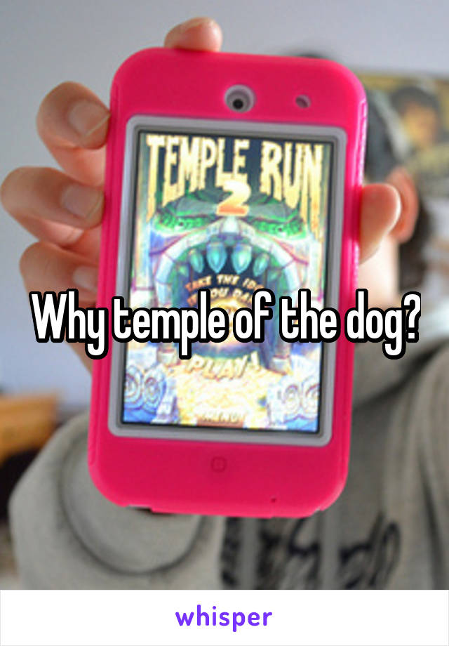 Why temple of the dog?