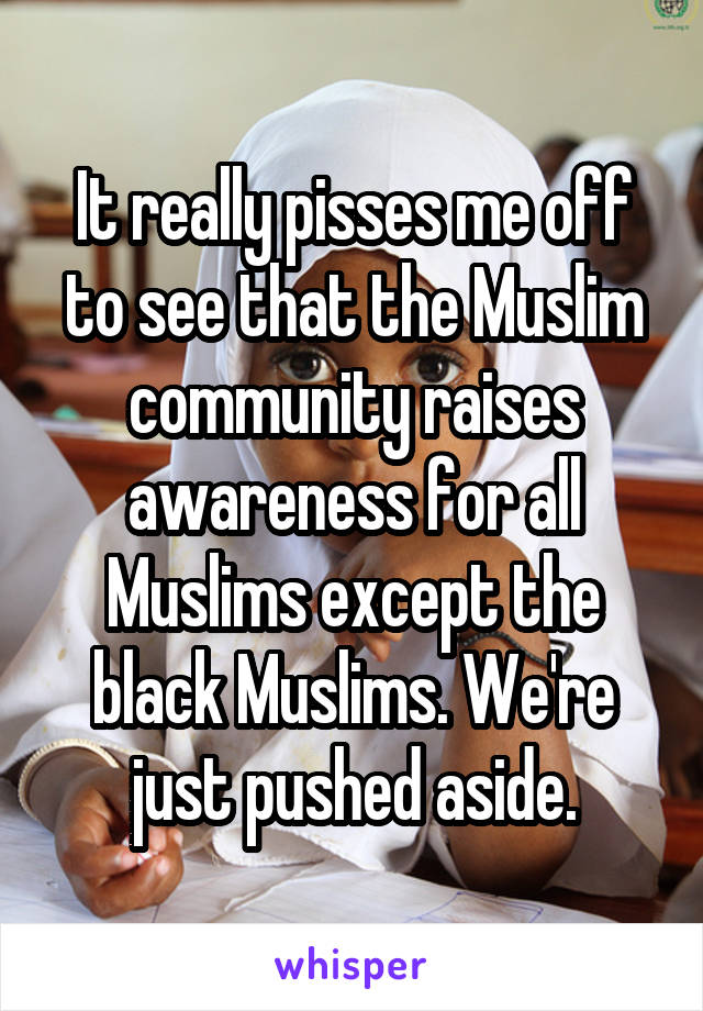It really pisses me off to see that the Muslim community raises awareness for all Muslims except the black Muslims. We're just pushed aside.