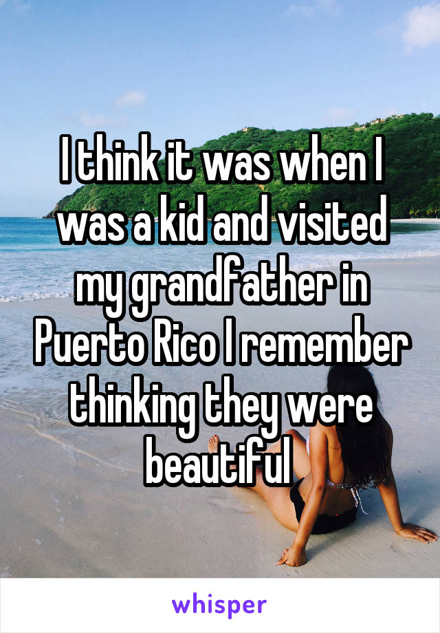 I think it was when I was a kid and visited my grandfather in Puerto Rico I remember thinking they were beautiful 
