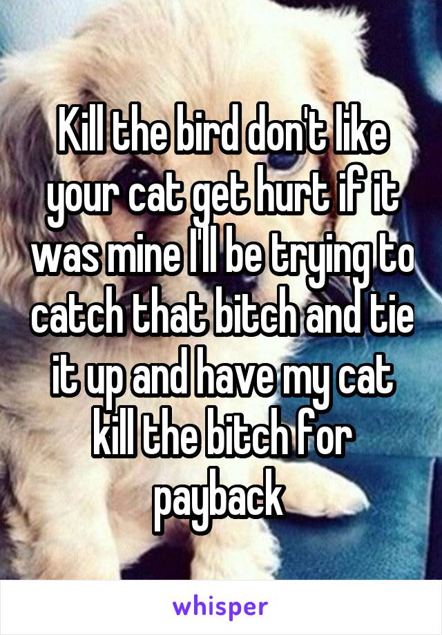 Kill the bird don't like your cat get hurt if it was mine I'll be trying to catch that bitch and tie it up and have my cat kill the bitch for payback 