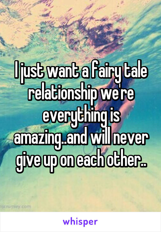 I just want a fairy tale relationship we're everything is amazing..and will never give up on each other..