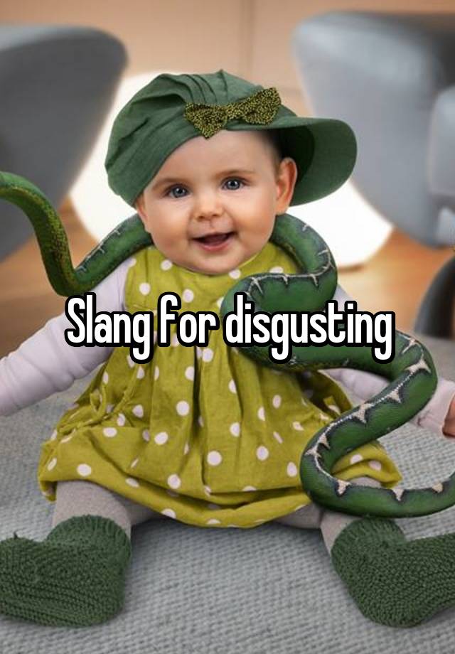 slang-for-disgusting