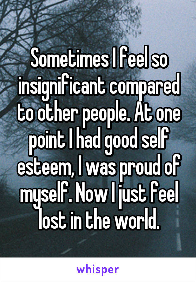 Sometimes I feel so insignificant compared to other people. At one point I had good self esteem, I was proud of myself. Now I just feel lost in the world.