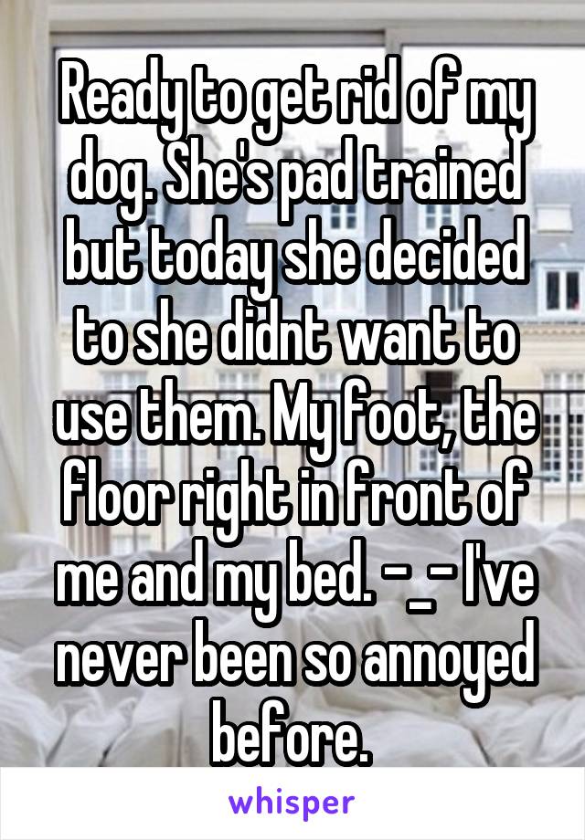 Ready to get rid of my dog. She's pad trained but today she decided to she didnt want to use them. My foot, the floor right in front of me and my bed. -_- I've never been so annoyed before. 