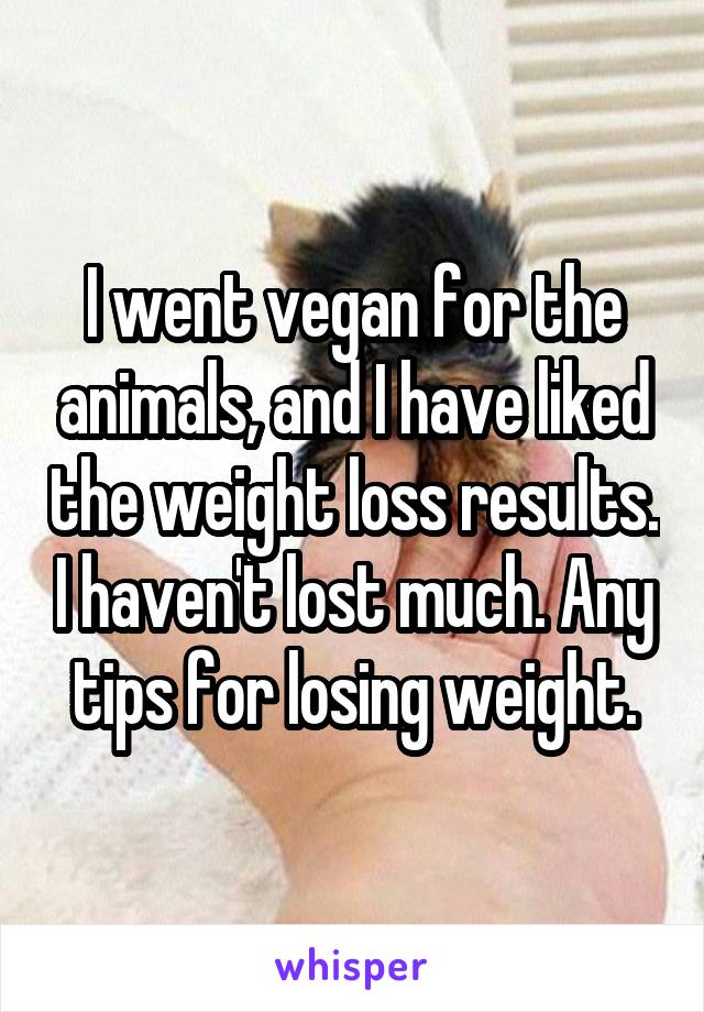 I went vegan for the animals, and I have liked the weight loss results. I haven't lost much. Any tips for losing weight.