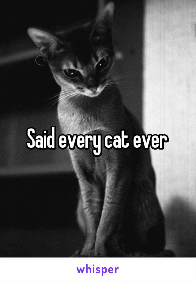 Said every cat ever 