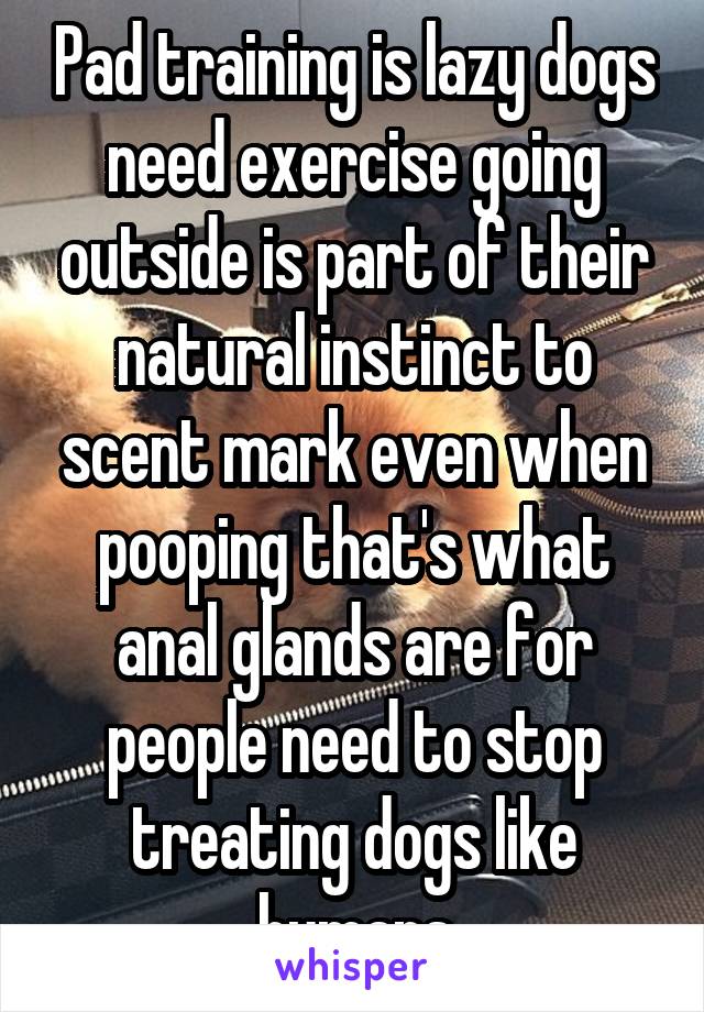 Pad training is lazy dogs need exercise going outside is part of their natural instinct to scent mark even when pooping that's what anal glands are for people need to stop treating dogs like humans