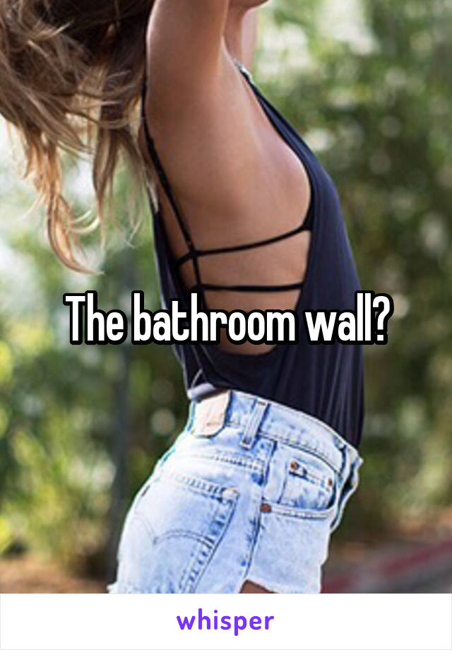 The bathroom wall?