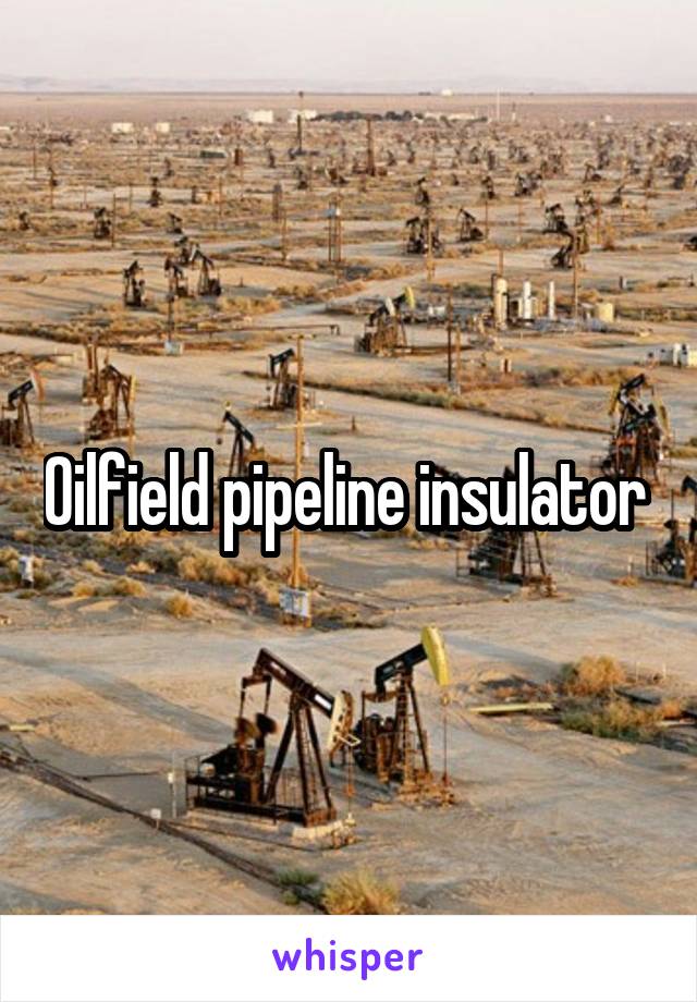 Oilfield pipeline insulator 