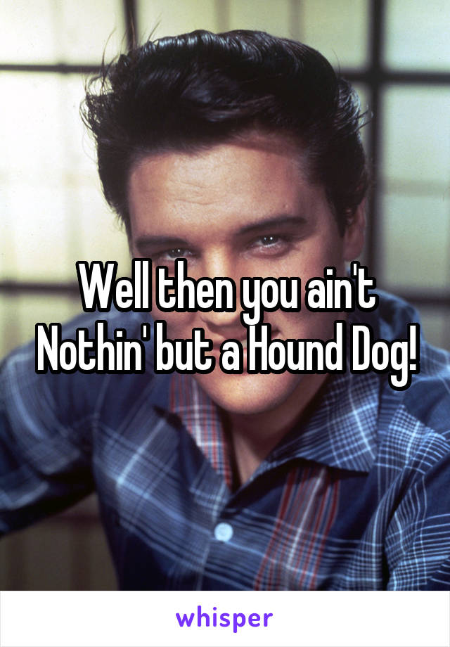 Well then you ain't Nothin' but a Hound Dog!