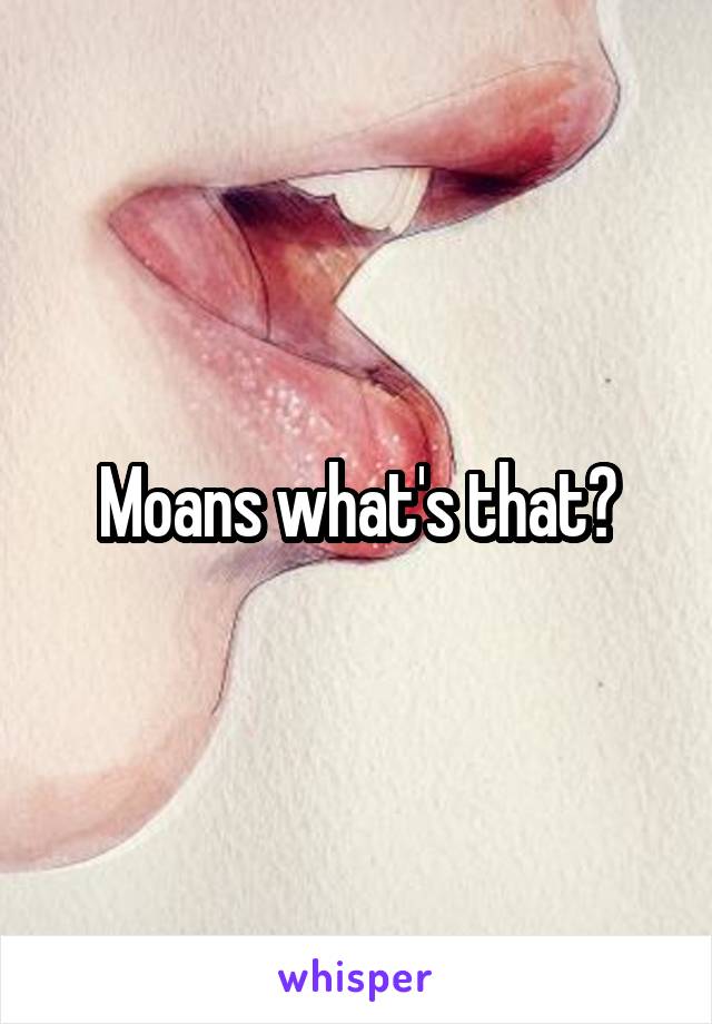 Moans what's that?