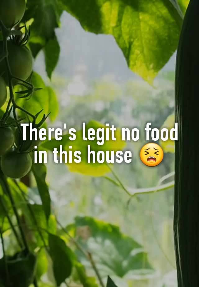 there-s-legit-no-food-in-this-house