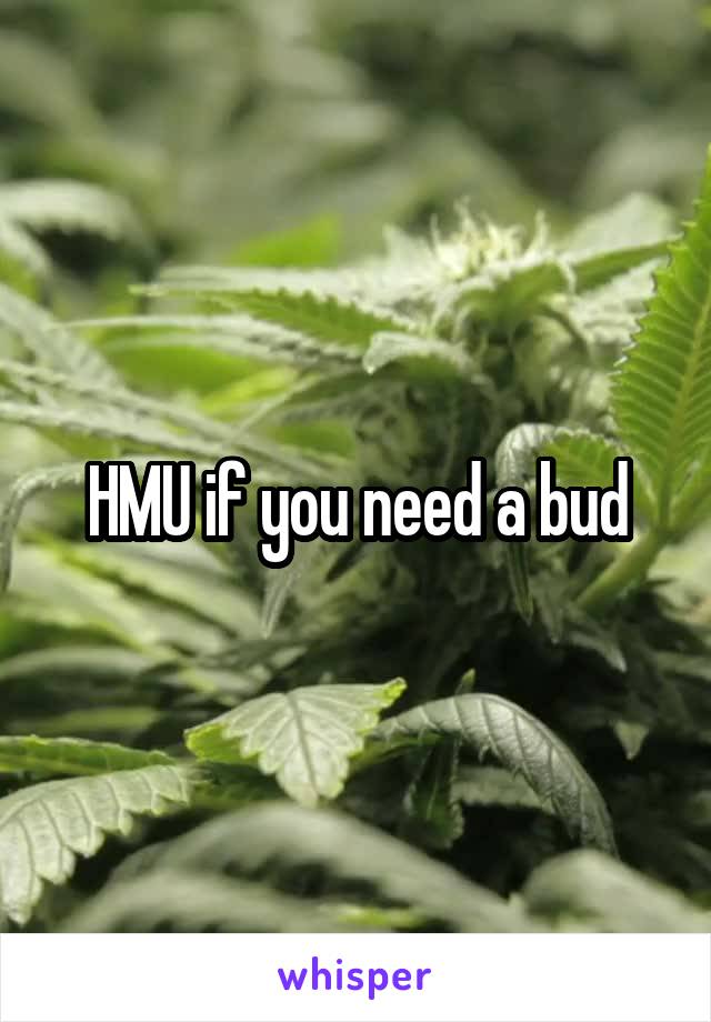 HMU if you need a bud