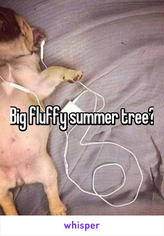 Big fluffy summer tree?