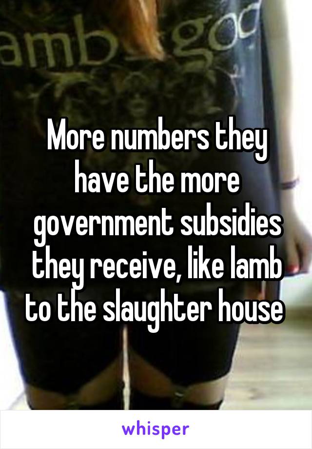 More numbers they have the more government subsidies they receive, like lamb to the slaughter house 