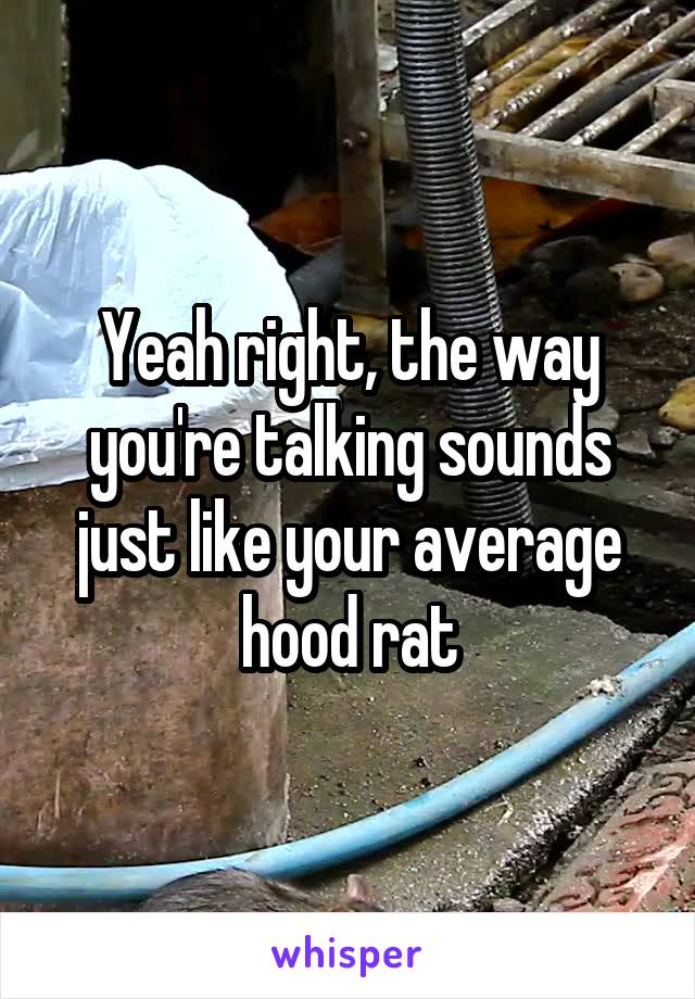 Yeah right, the way you're talking sounds just like your average hood rat