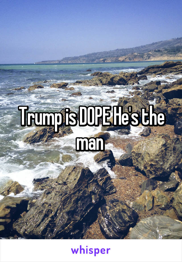 Trump is DOPE He's the man 