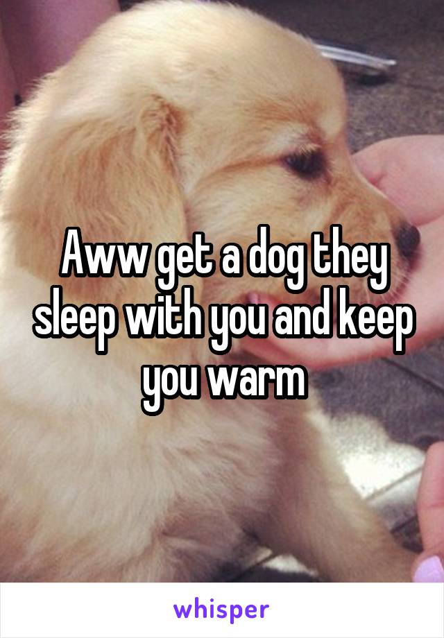 Aww get a dog they sleep with you and keep you warm