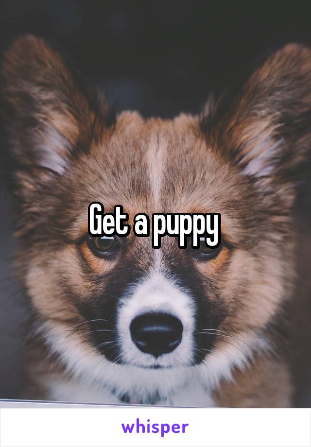 Get a puppy 