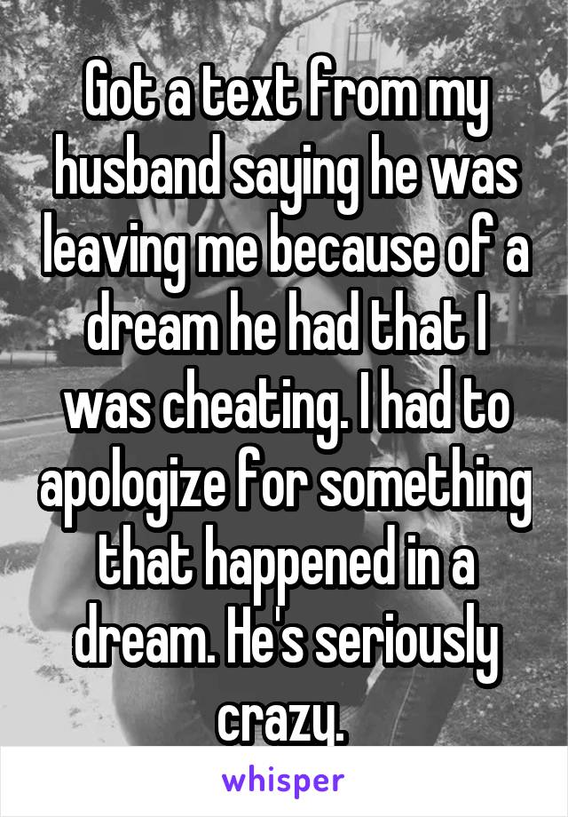 Got a text from my husband saying he was leaving me because of a dream he had that I was cheating. I had to apologize for something that happened in a dream. He's seriously crazy. 