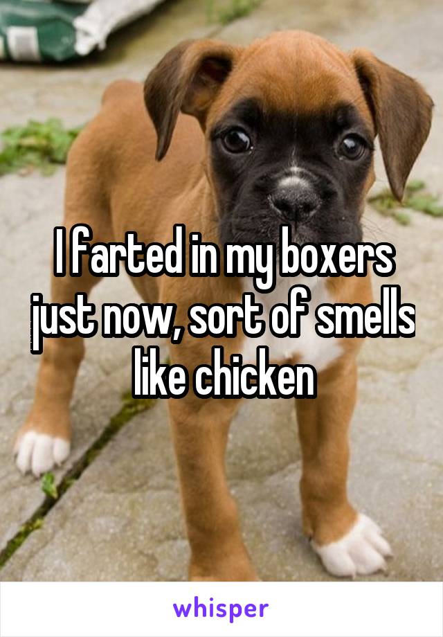 I farted in my boxers just now, sort of smells like chicken