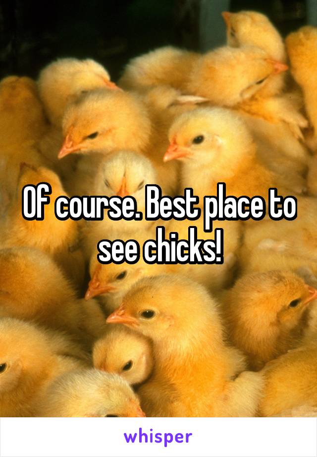 Of course. Best place to see chicks!