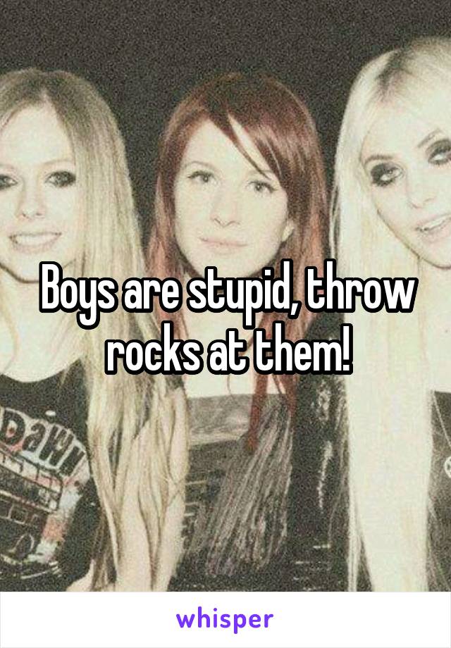 Boys are stupid, throw rocks at them!