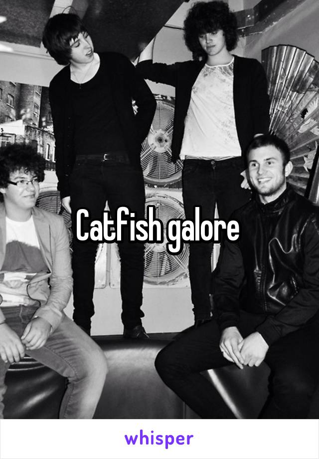 Catfish galore 