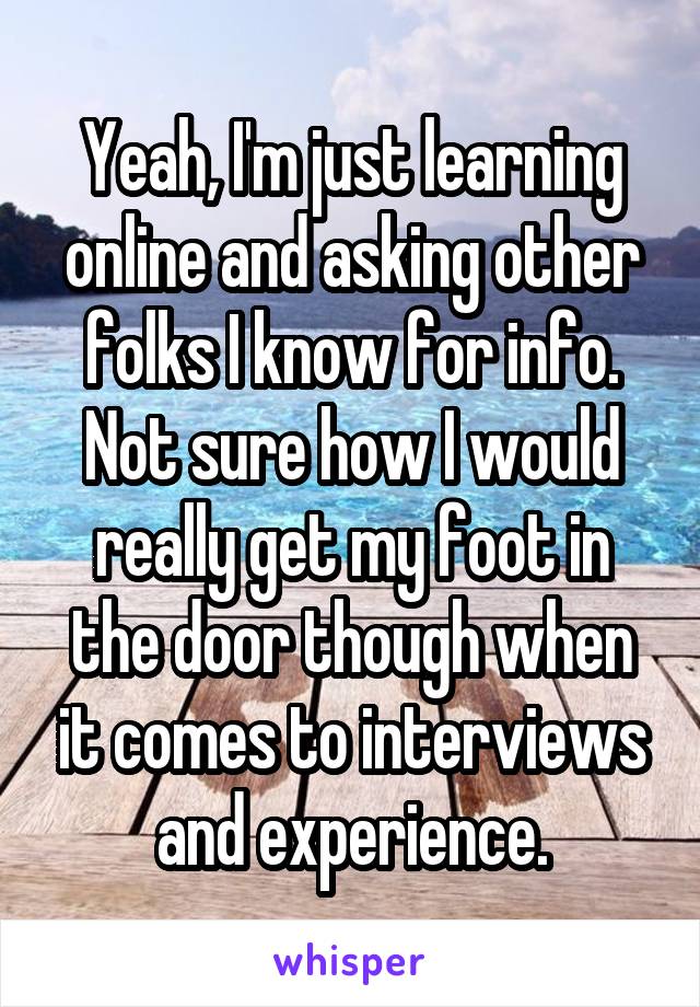 Yeah, I'm just learning online and asking other folks I know for info. Not sure how I would really get my foot in the door though when it comes to interviews and experience.