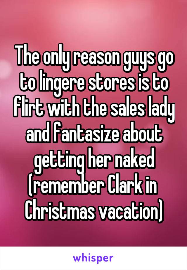 The only reason guys go to lingere stores is to flirt with the sales lady and fantasize about getting her naked (remember Clark in  Christmas vacation)