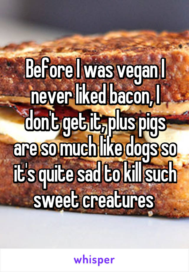 Before I was vegan I never liked bacon, I don't get it, plus pigs are so much like dogs so it's quite sad to kill such sweet creatures 