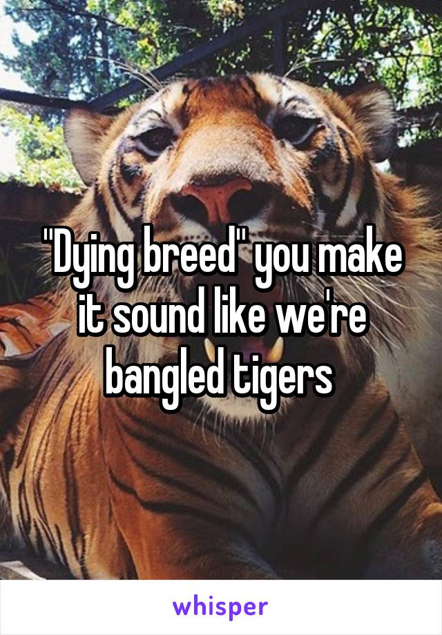 "Dying breed" you make it sound like we're bangled tigers 