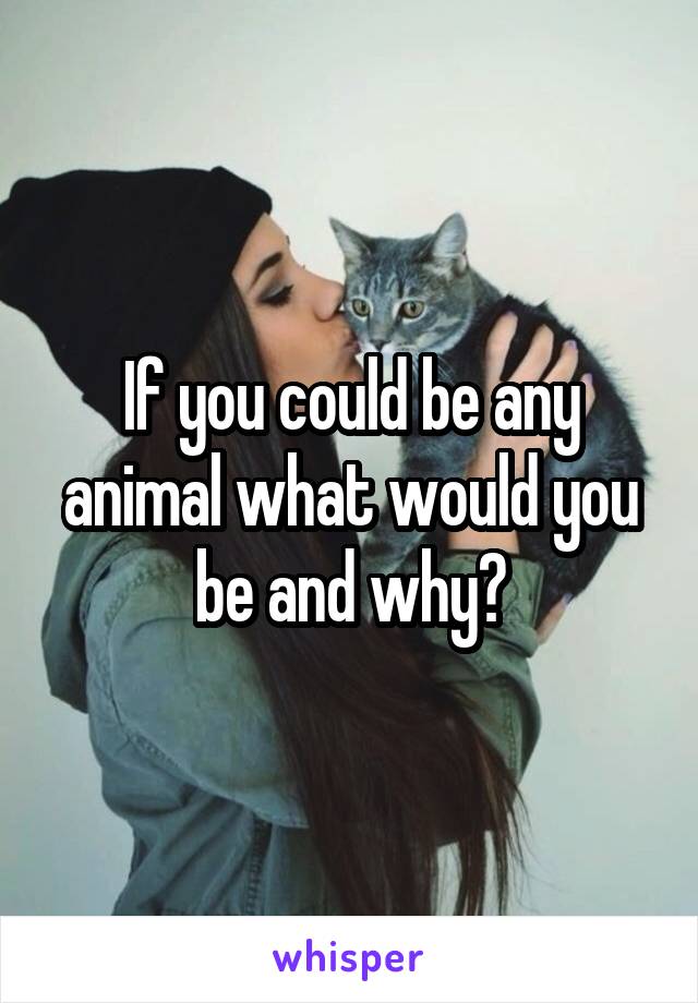 If you could be any animal what would you be and why?