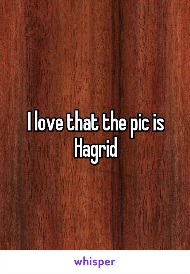 I love that the pic is Hagrid