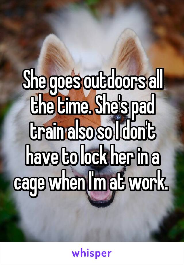 She goes outdoors all the time. She's pad train also so I don't have to lock her in a cage when I'm at work. 