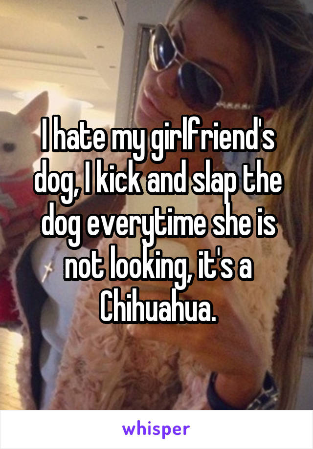 I hate my girlfriend's dog, I kick and slap the dog everytime she is not looking, it's a Chihuahua.