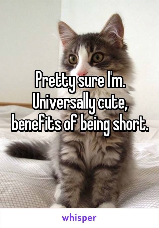 Pretty sure I'm. Universally cute, benefits of being short. 