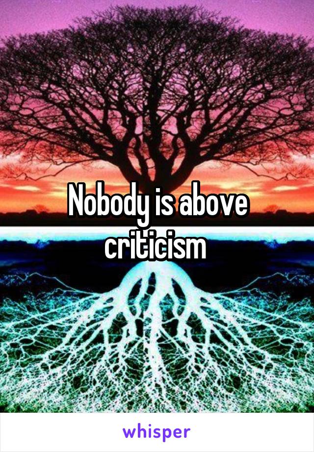 Nobody is above criticism 