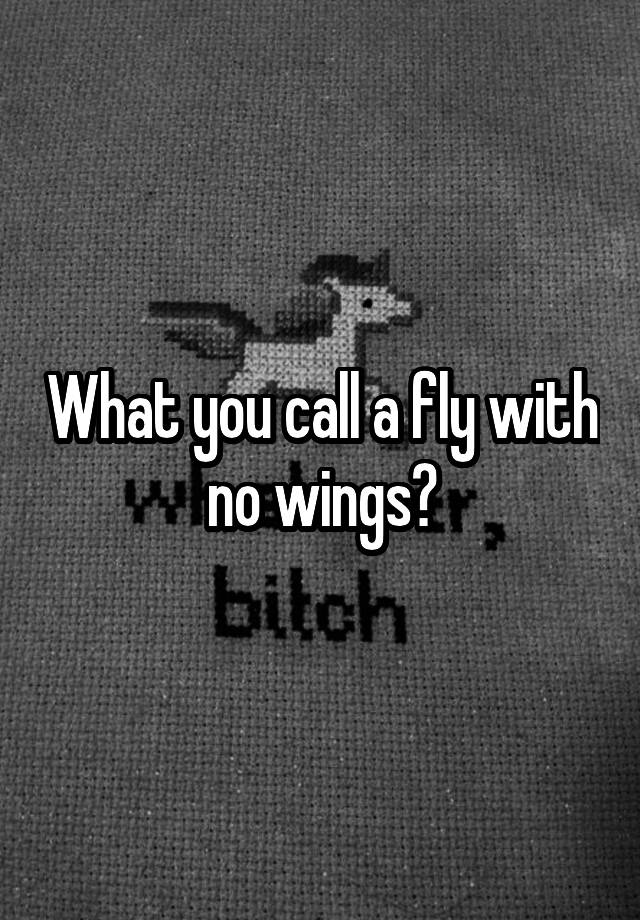 what-you-call-a-fly-with-no-wings